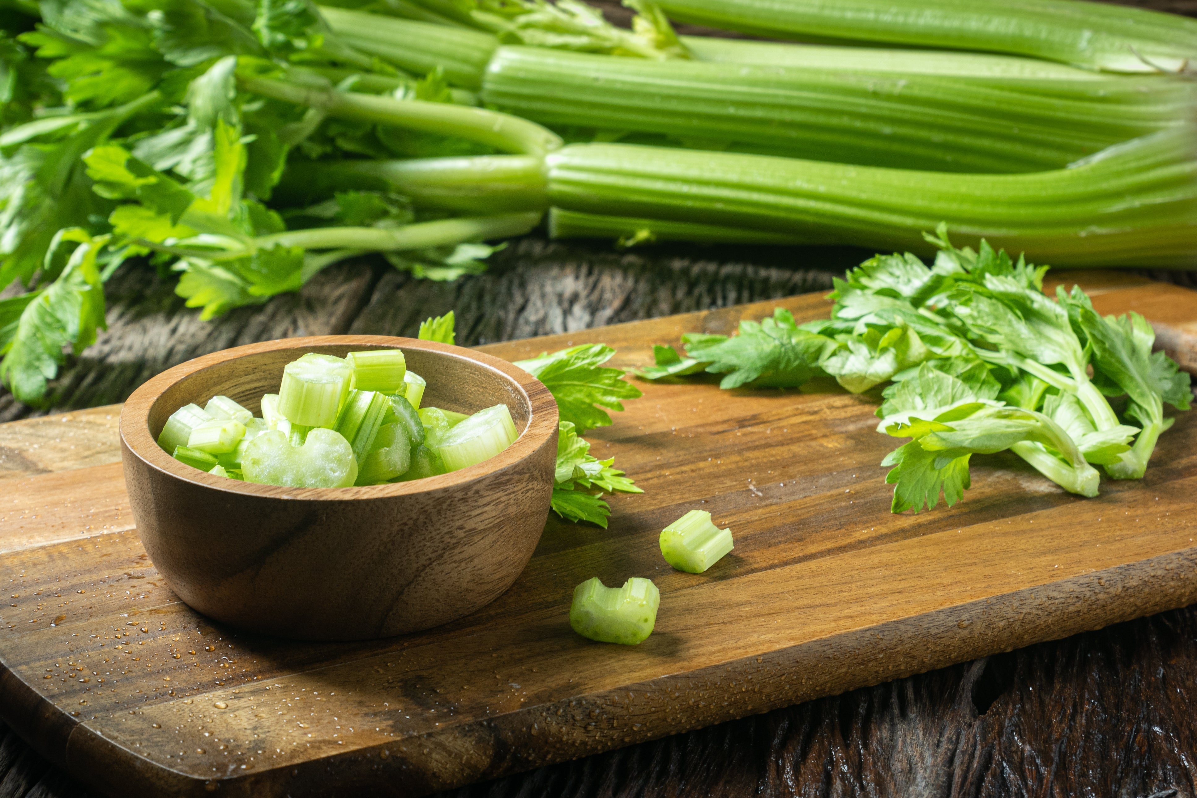 その他 celery Hybrid Celery Seed - Tozer