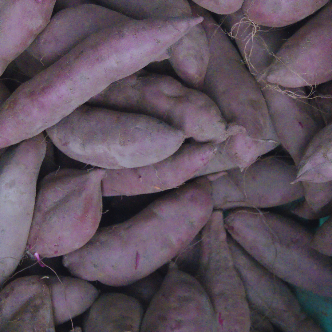 A Batata-doce não é uma Batata