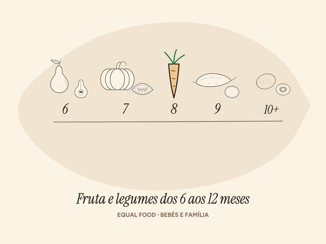 Ilustração de pera, abóbora, cenoura, batata-doce e kiwi por idade, dos 6 aos 12 meses