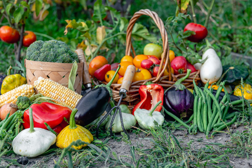 A Importância de Consumir Alimentos Sazonais - Alimentos de Setembro