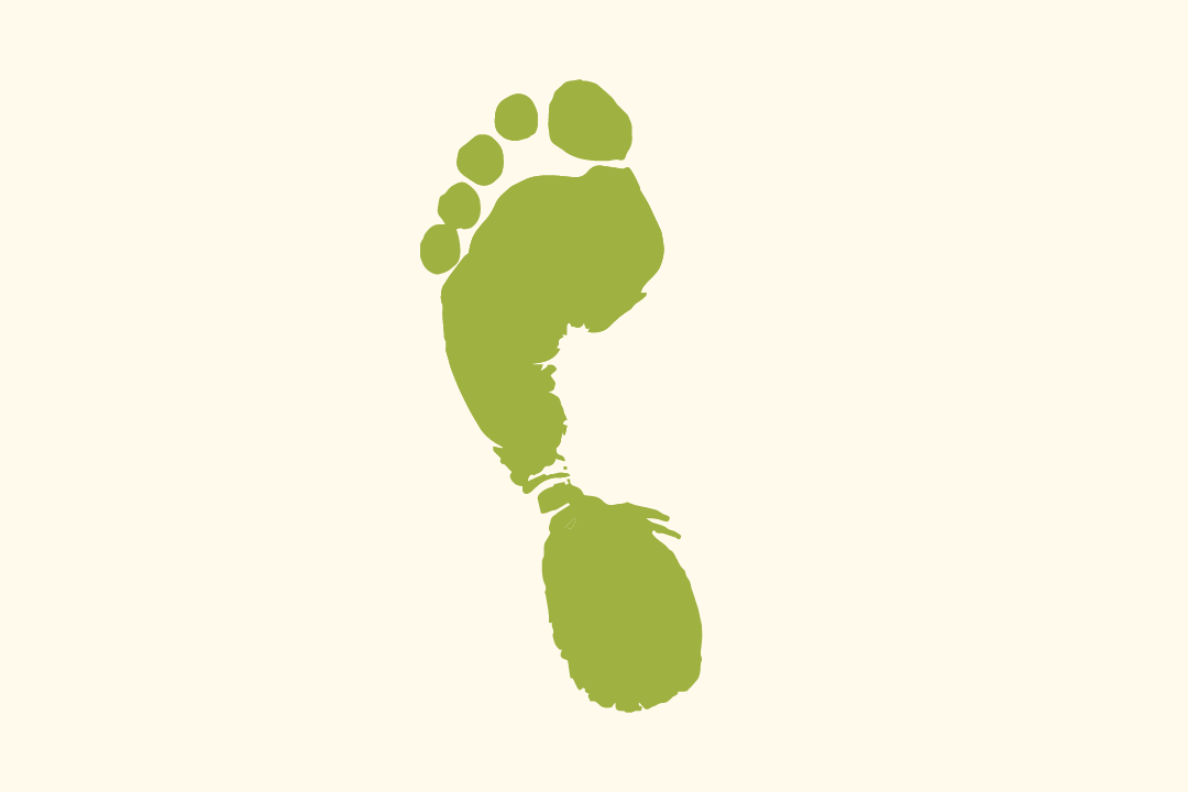 Pegada Ecológica Equal Food