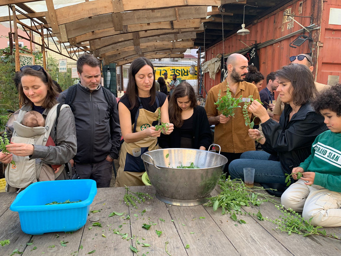 Equal Food no SOW Ferro e Fogo