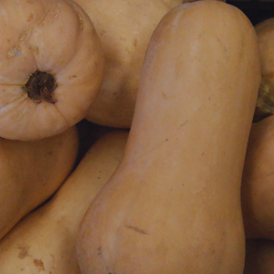 Vegetables Box