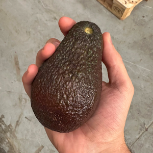 Fruit Box
