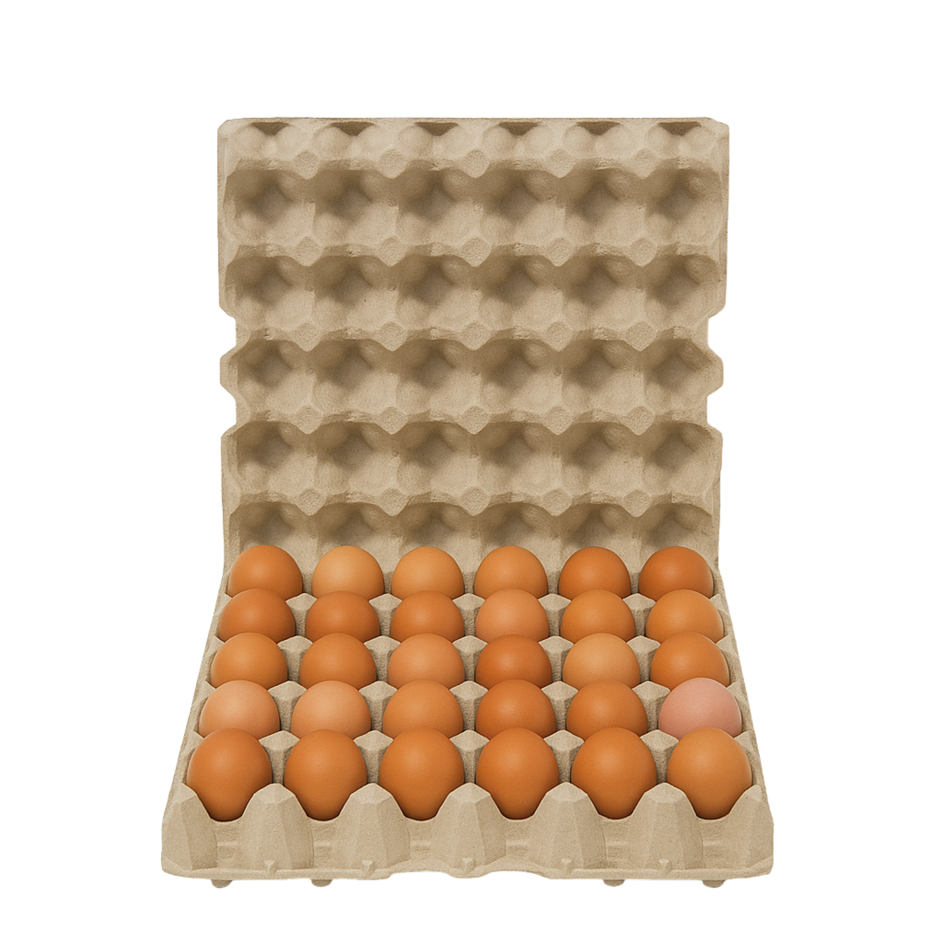 Ovos (M, 60 unidades)